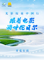国产成人精视频在线观看免费